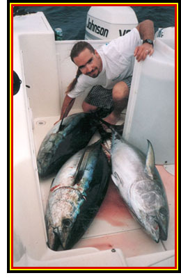 swimbait.com - Big Hammer Lures - Don't Get Bit... Get Hammer'd!